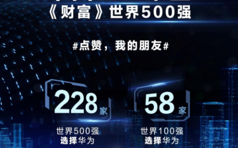 被228家《财富》500强企业选择，华为云快速增长