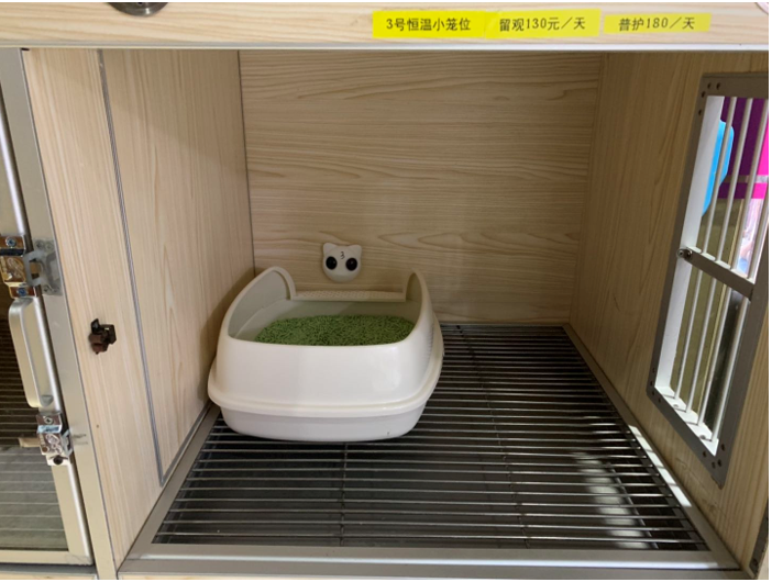 宠物医生墙裂推荐的宠物主义智能猫砂盆监测仪到底好在哪里?