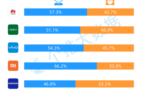 个推大数据：华为挤占OV三四线城市用户，市场竞争升级！