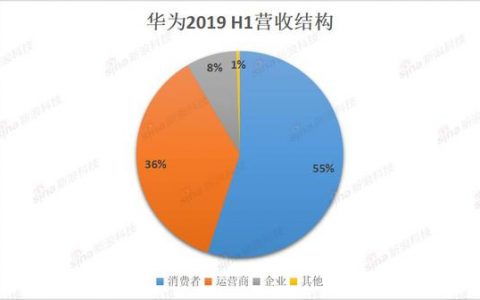 华为“补洞”：半年超4000亿业绩 欣喜背后还有隐忧