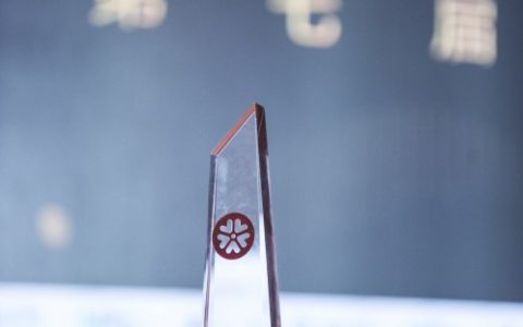 极米传媒科技成功打造城市IP，“青岛品牌日“ 荣获“最佳IP营销创新奖” “城市品牌日”和“城市文化品牌日”两大IP即将出炉