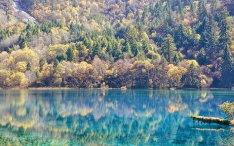 九寨沟景区恢复开放，“神奇公厕”引领智慧环保时尚