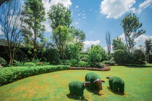 2020上半年阆中楼市成交榜出炉，山湖语健康城问鼎阆中！