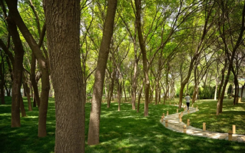 藏品如何被定义？备受世界尊崇的品牌缦合北京给你答案