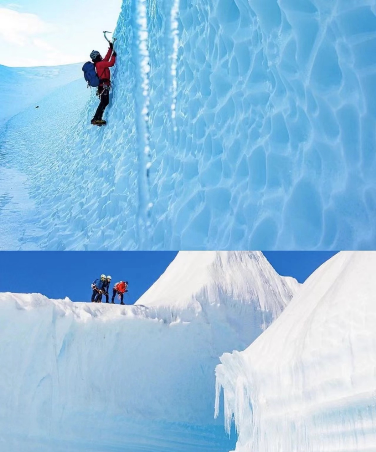 medias-uploads/ty-202203/97d5b8cd1ae8a2b0d099c9a8fc874e7d.png 图片19.png