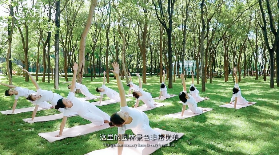 medias-uploads/ty-202203/be06e7fe9d8139e91a6b2e61191d0e75.png 图片21.png