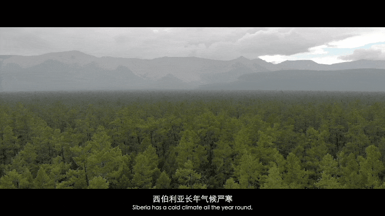 medias-uploads/ty-202203/d396944c159dc03e1266ce2d372db0e1.png 图片6.png