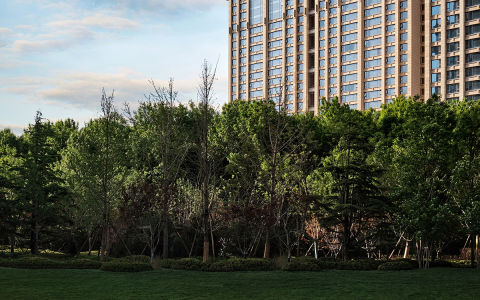 傅厚民的世界新审美藏在这里