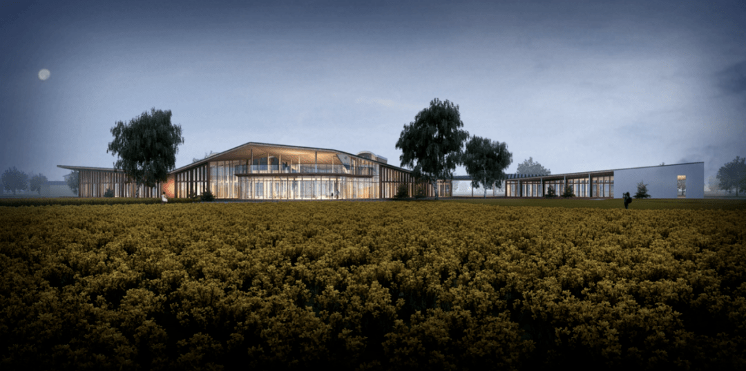 真实IP研创中心落成 探索乡村振兴新模式