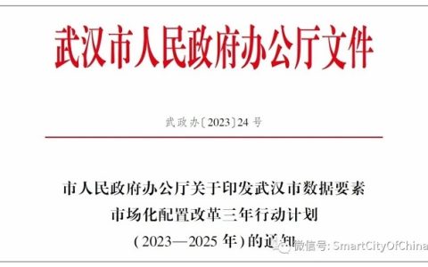 武汉三年行动：组建数据集团 开展数据交易试点