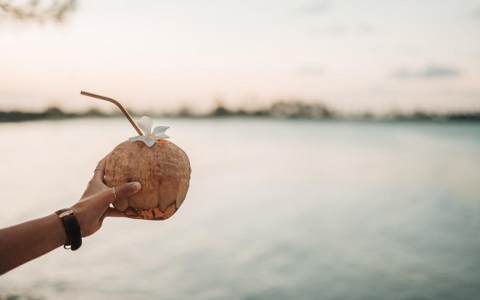 创新椰子风味气泡水，溢福IF带来健康的户外清凉
