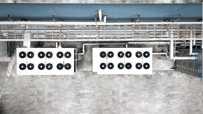 谷轮创新技术赋能中国菌菇种植产业,推动能效升级与可持续进步